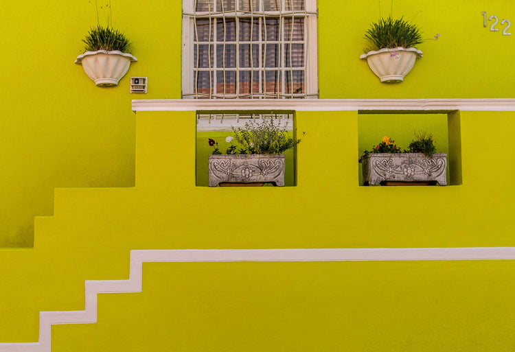 Bo Kaap | Lemon