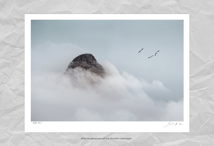 Classic Cape Town | Signal Hill