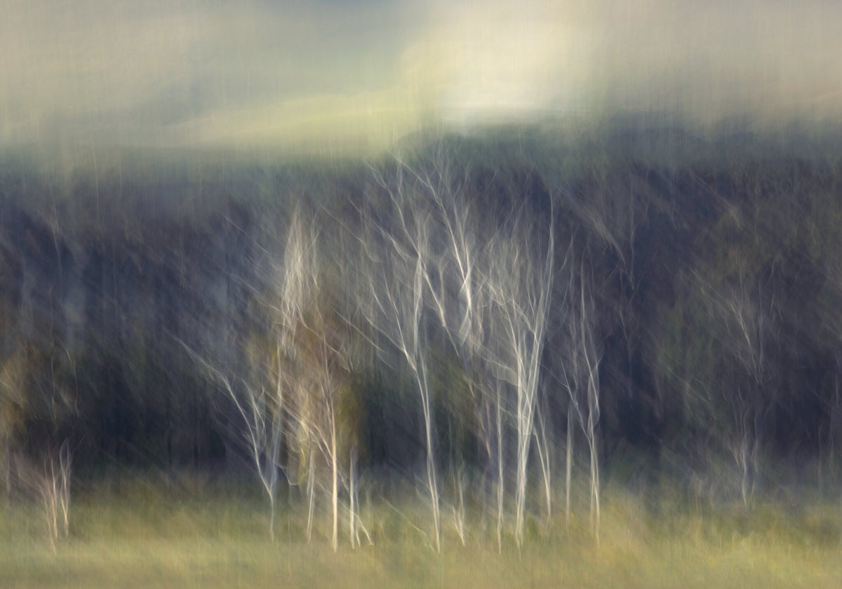 Creation No.1 by Martin Osner, an abstract landscape of the Hemel en Aarde Valley