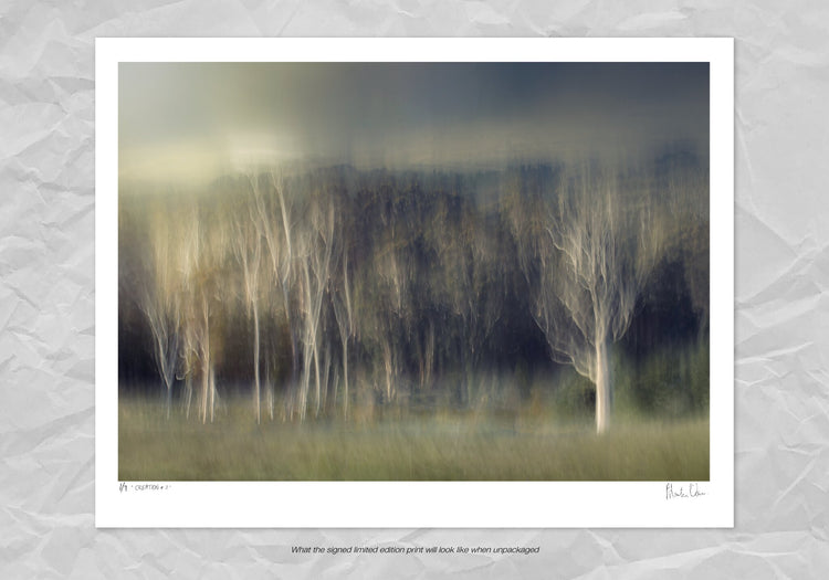 Creation No.3