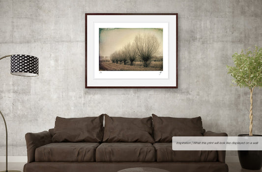 Landscape with Bare Trees