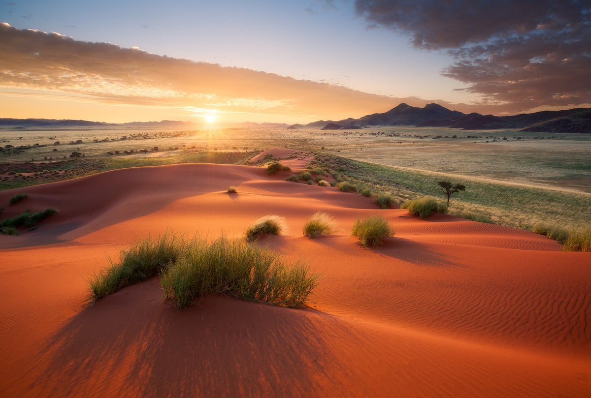 Namib Rand Landscape by Hougaard Malan, a blazing desert sunrise