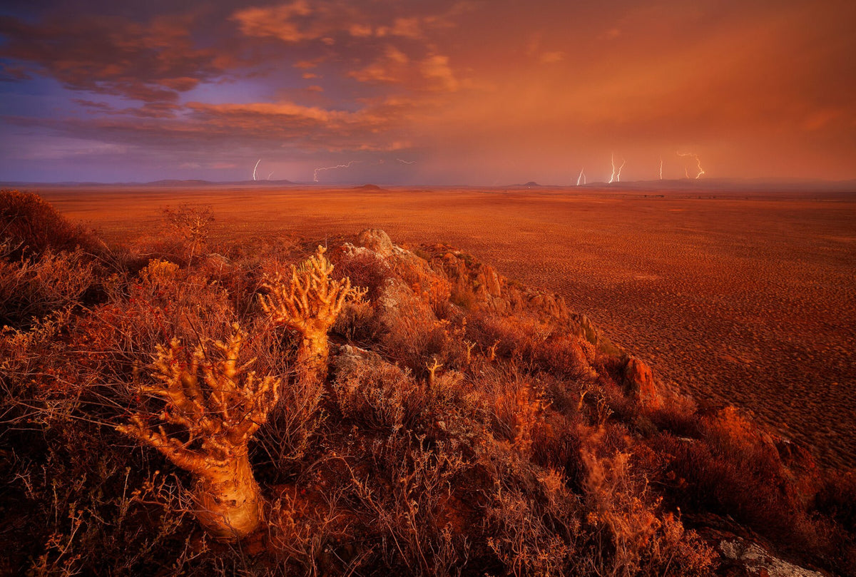 Karoo Storm by Hougaard Malan, a thunderstorm over the Karoo