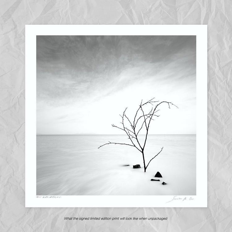 Silver Waters No.2