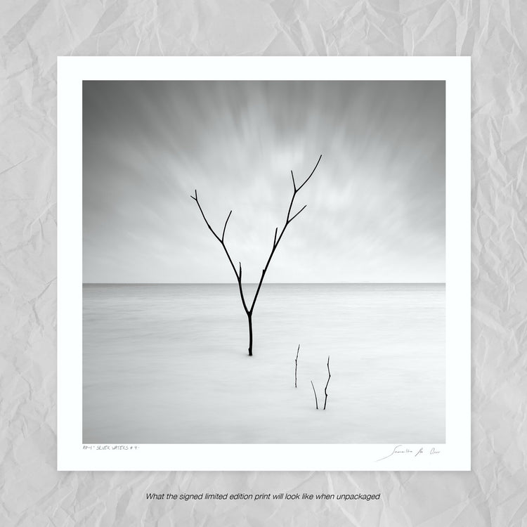 Silver Waters No.4