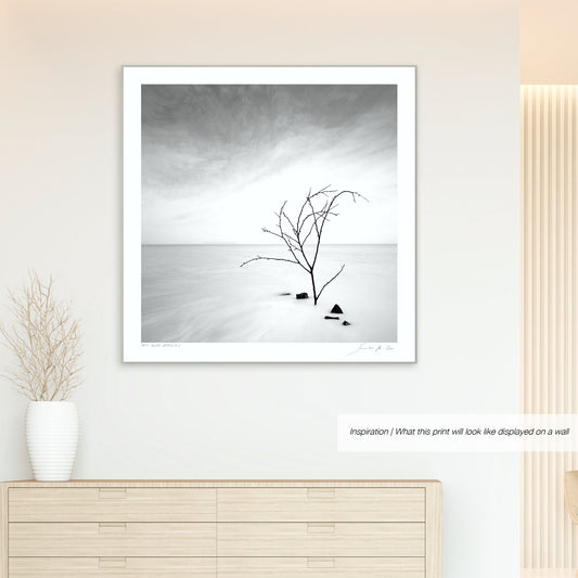 Silver Waters No.2