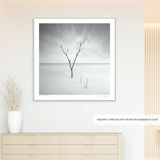 Silver Waters No.4