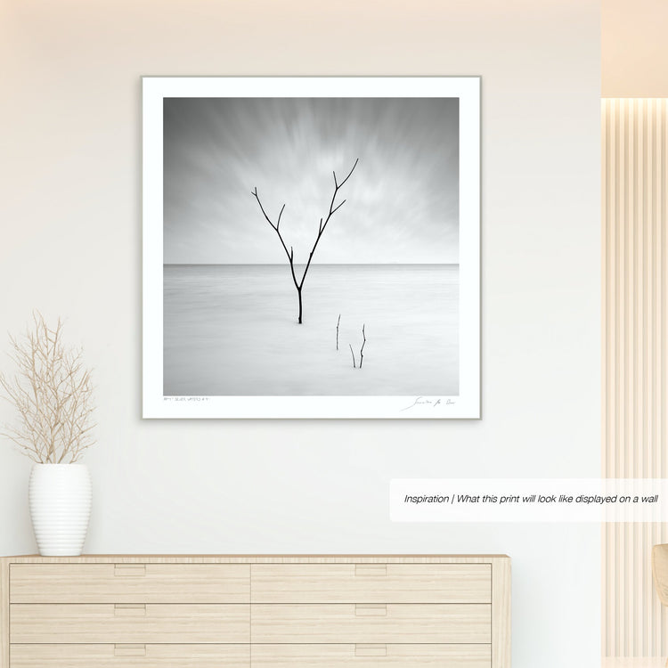 Silver Waters No.4