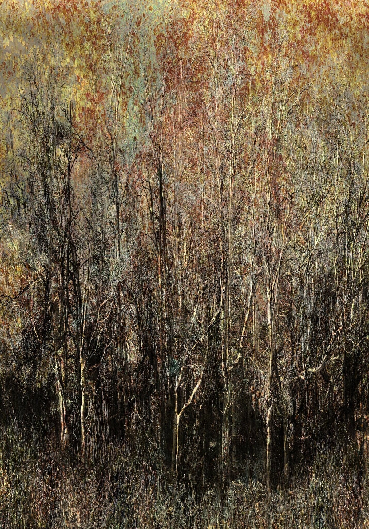 Carbon Woodlands by Martin Osner, moody woodlands made with multiple in camera exposures