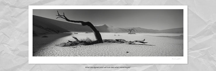 Dead Vlei