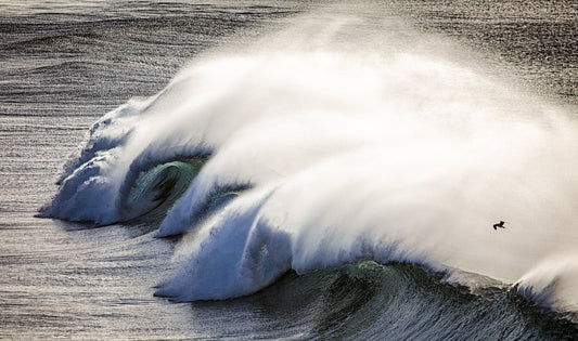 Wave Dancer