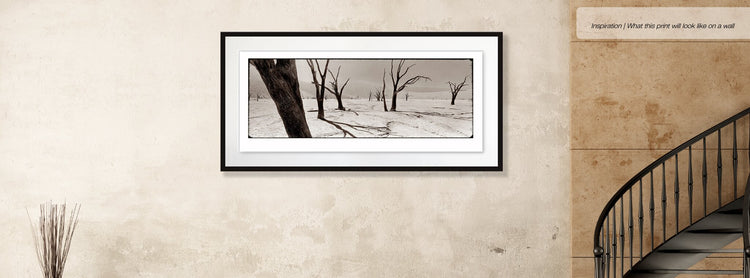Deadvlei No.2