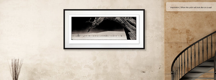 Deadvlei No.1
