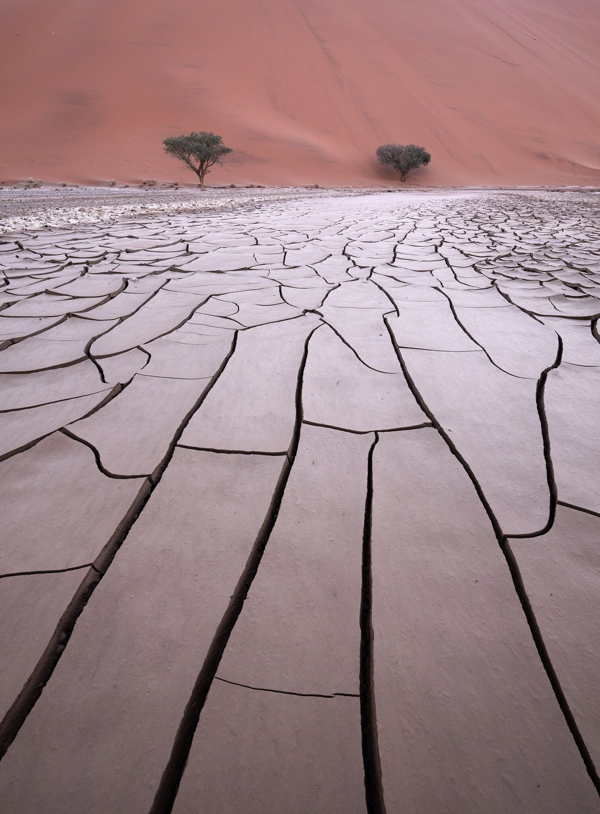 Natural Design | Namib in Flood