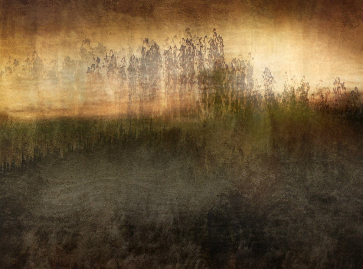 Daybreak over the Glen by Martin Osner, an impressionist landscape at dawn in soft light
