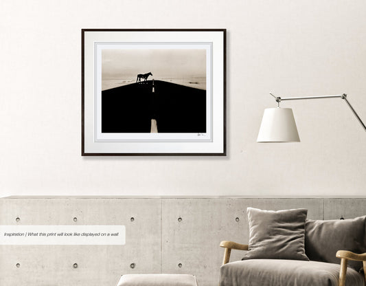 Wild Horses of the Namib No.3