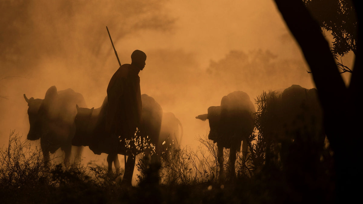 African Fine Art