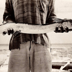 Antti Viitala