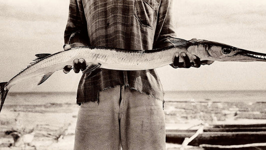 Antti Viitala | Artist