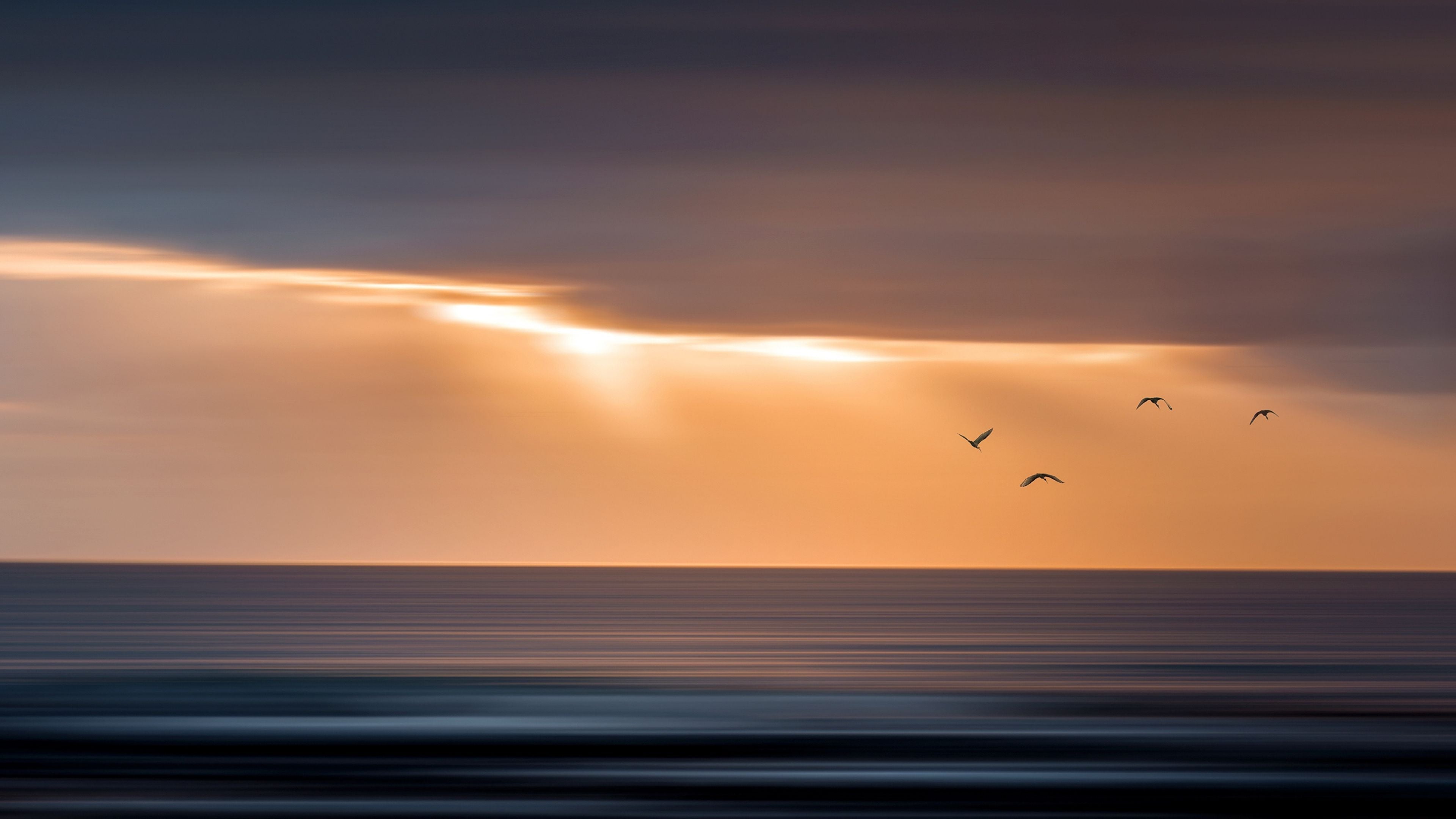 Moody fine art seascape with golden light breaking through dark clouds over the ocean, four birds in flight across the horizon