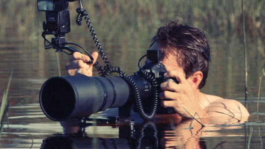 Greg du Toit | Artist