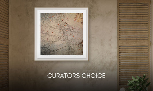 Curator’s Selection