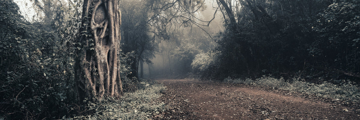Sacred Forests