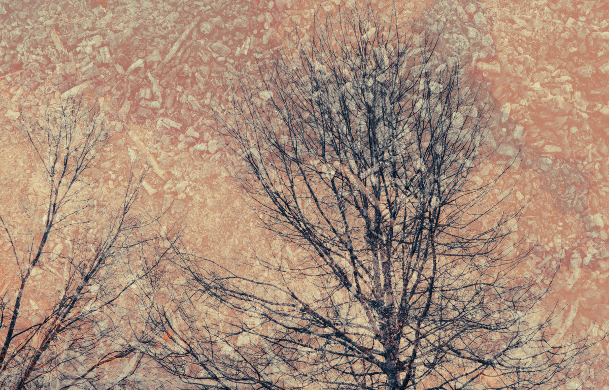 Silence in the Light No.3