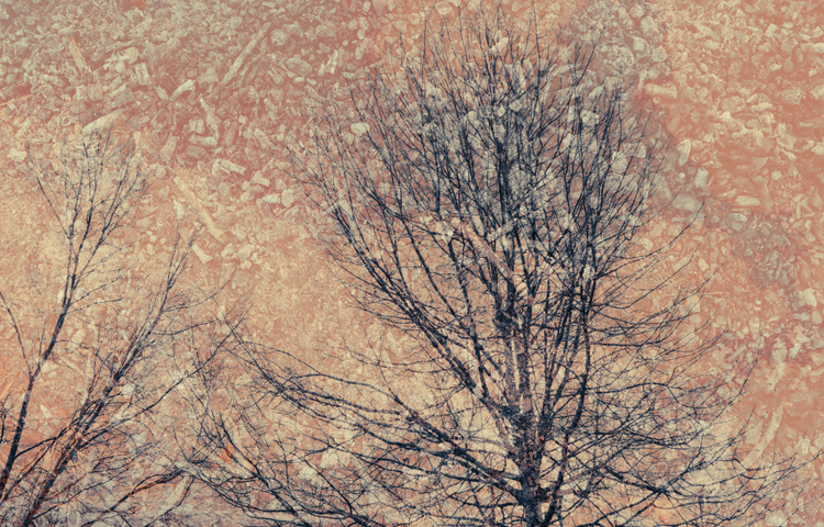 Silence in the light No.3