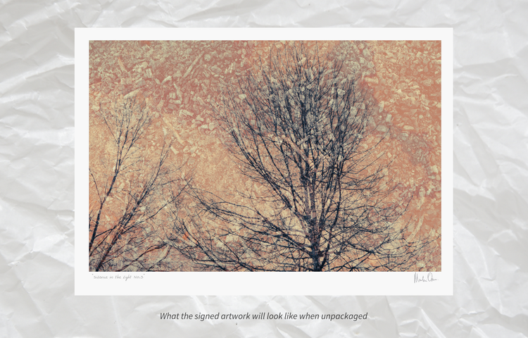 Silence in the light No.3