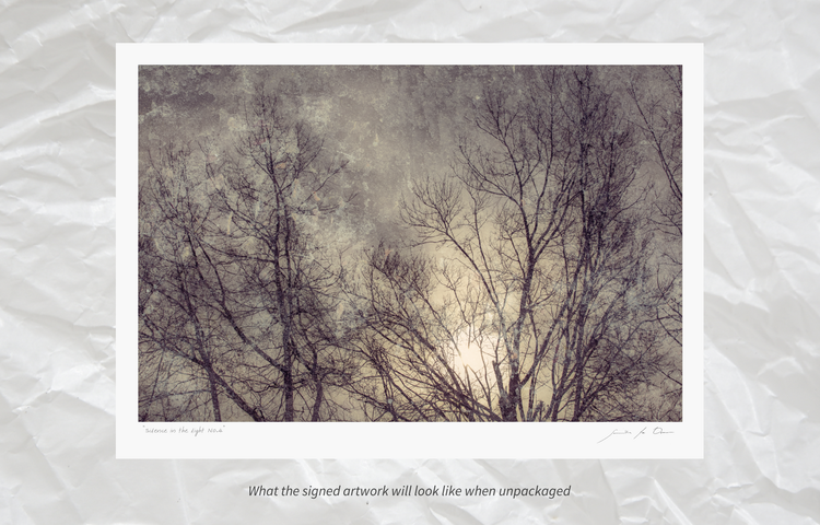 Silence in the light No.4