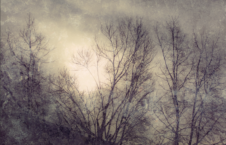 Silence in the light No.5