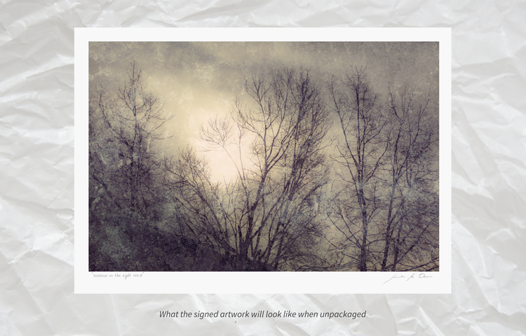 Silence in the light No.5