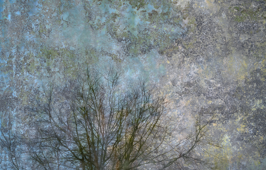 Silence in the light No.1
