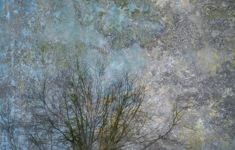 Silence in the light No.1