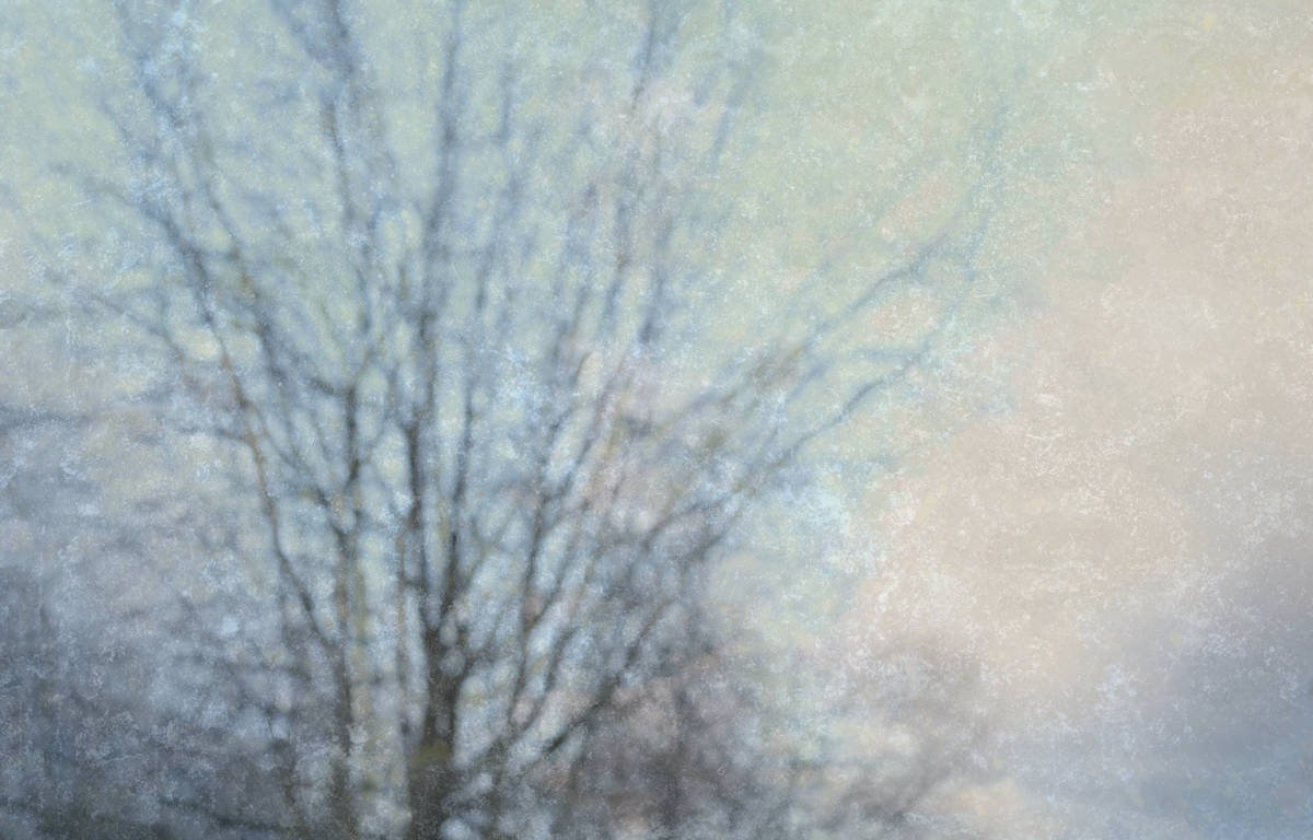 Silence in the Light No.2