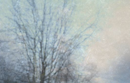 Silence in the light No.2