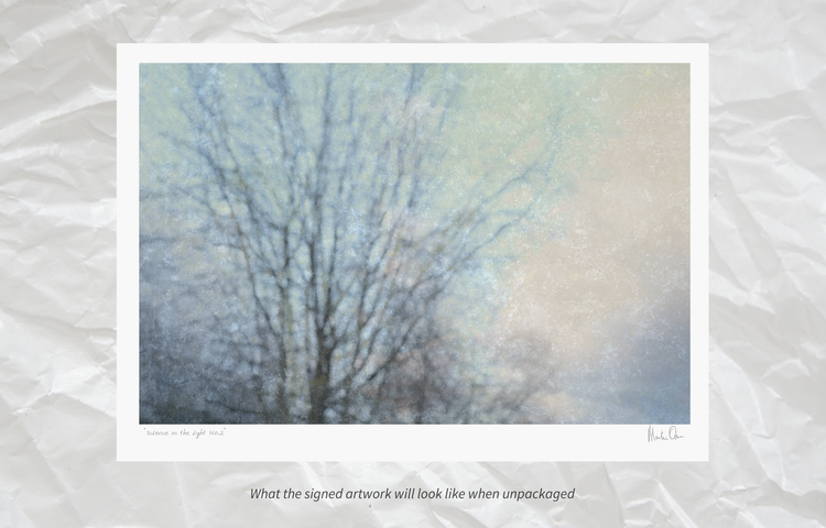 Silence in the light No.2