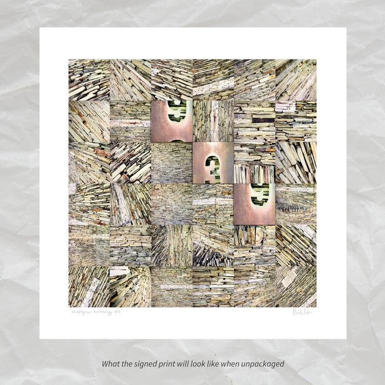 Analogous Anthology No.4