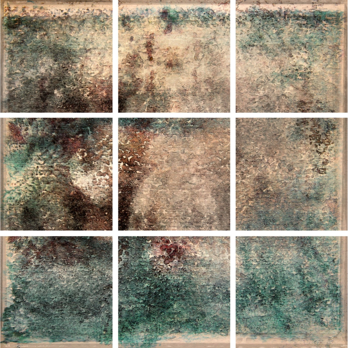 Analogous Anthology No.5