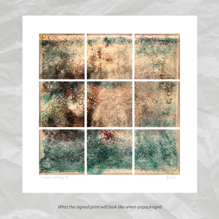 Analogous Anthology No.5