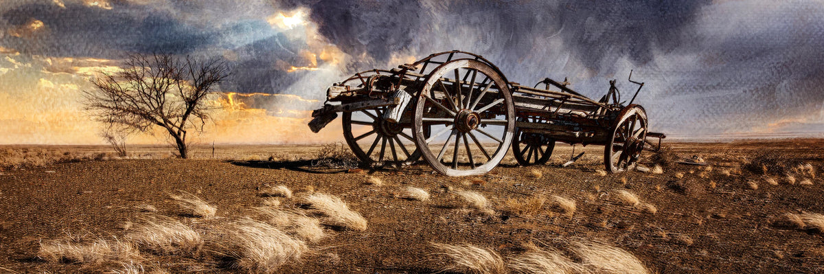 Ox-wagon at Gannaga by Martin Osner, an original painting of a wagon in the Klein Karoo