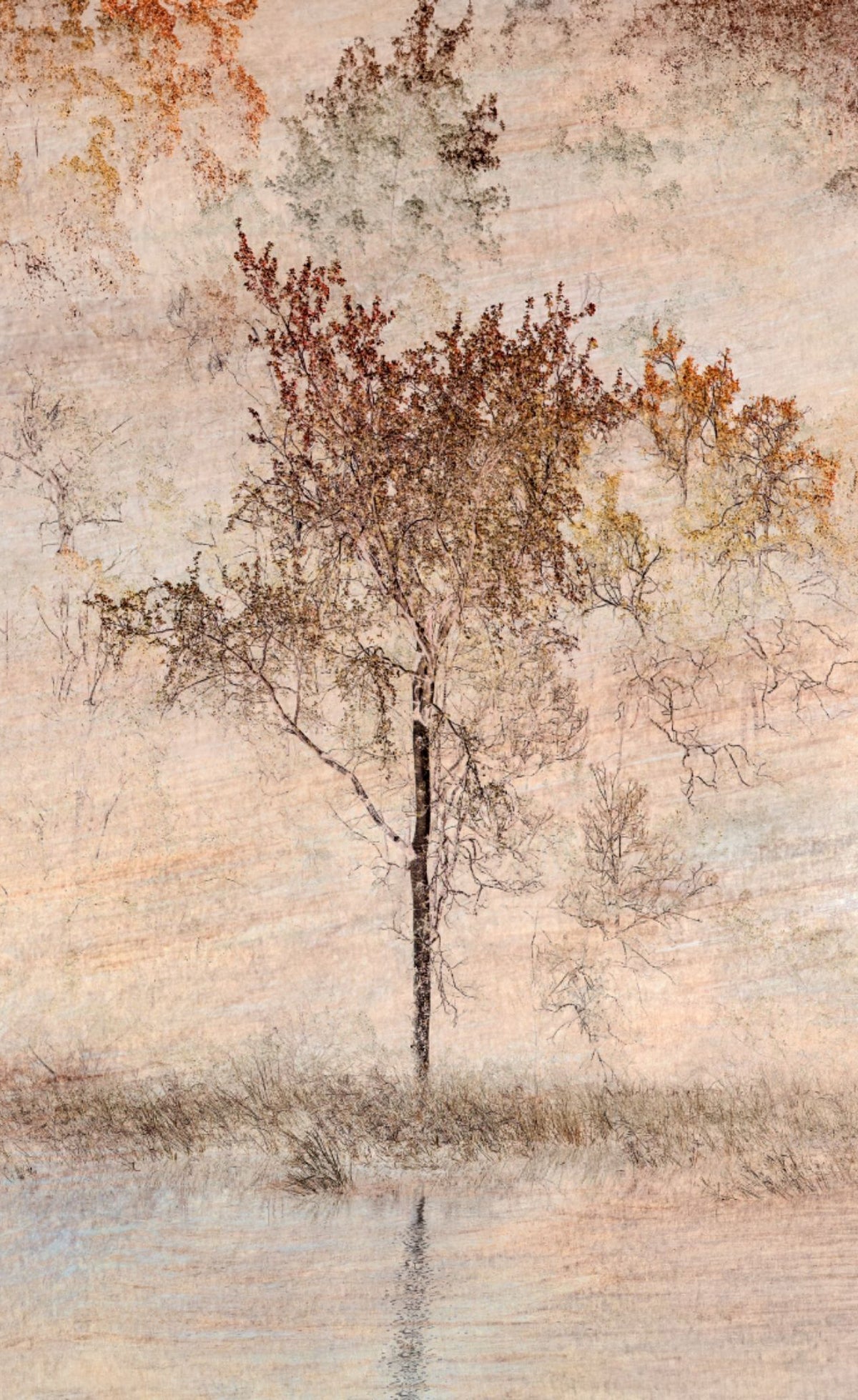 Whispers of Nature No.2 by Samantha Lee Osner, a russet and gold tree at the water's edge