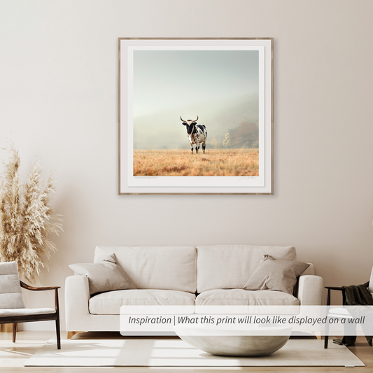 Sentinel of the Overberg
