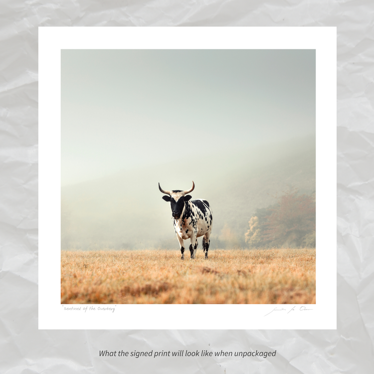 Sentinel of the Overberg