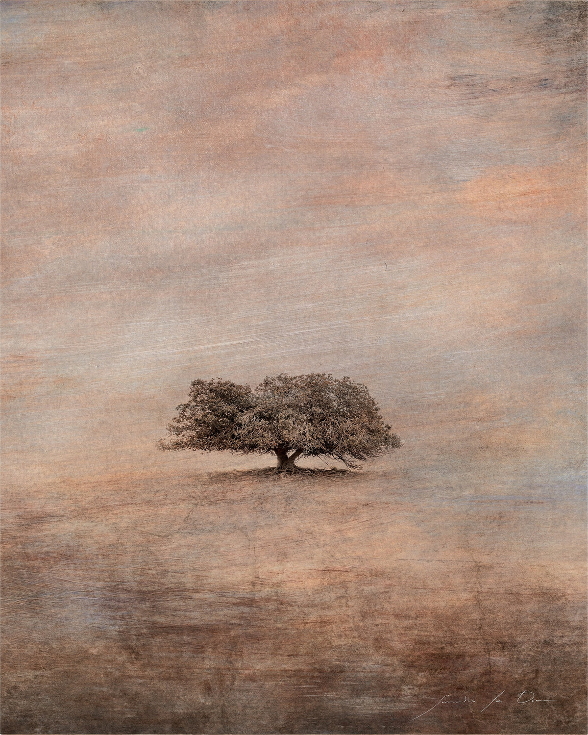Fortitude by Samantha Lee Osner, a lone tree standing on an open plain