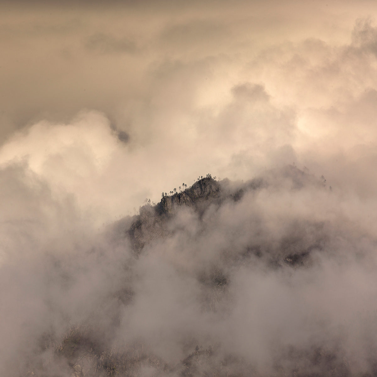 Ethereal Peak by Samantha Lee Osner, a mountain peak rising through cloud