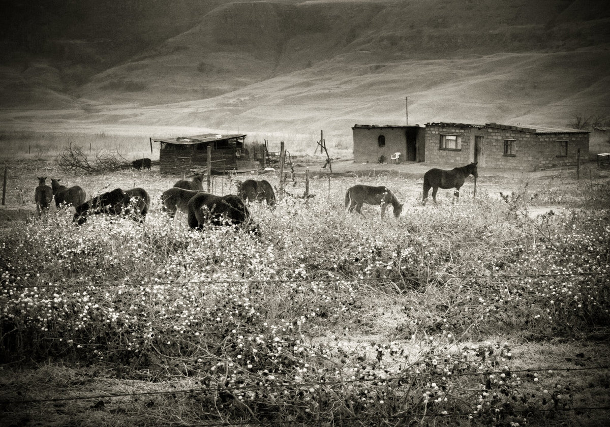 African Mood No.2 by Martin Osner, a black and white photograph of rural southern Africa