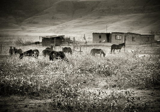 African Mood No.12