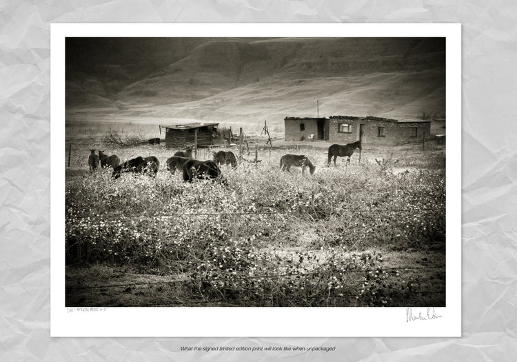 African Mood No.12